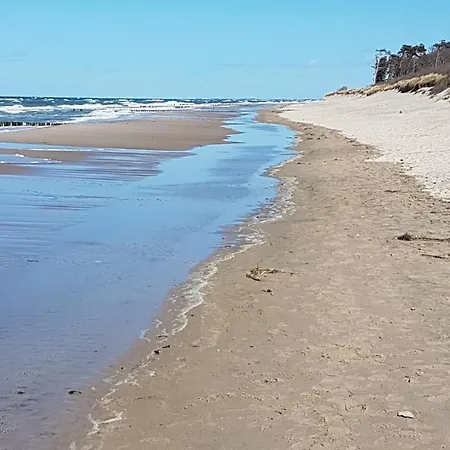 Bischof Sued * Graal-Mueritz