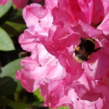 Bischof Sued غرال موريتز