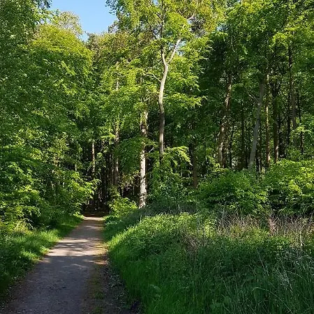 Bischof Sued غرال موريتز