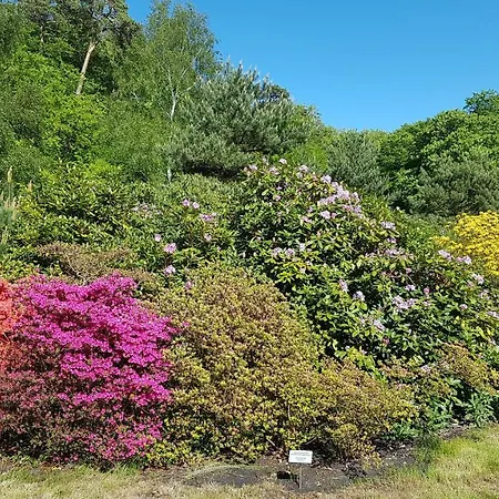 Bischof Sued شقة غرال موريتز