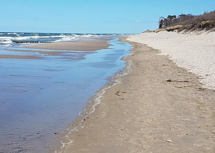 Bischof Sued * Graal-Mueritz